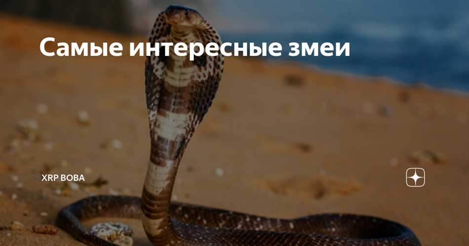 Чем интересны и опасны ямкоголовые Америки?