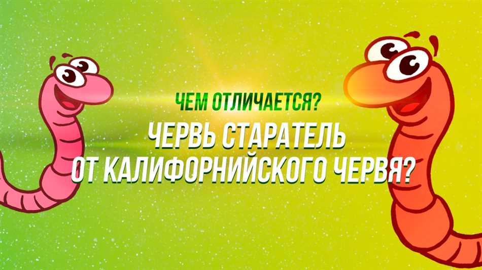 Черви калифорнийские vs обычные: Раздел 1. Размер и цвет