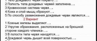 Чем заполнена полость тела у дождевого червя? Важные детали жизнедеятельности