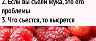 Что будет, если съесть малину с червяком? Ответы на часто задаваемые вопросы