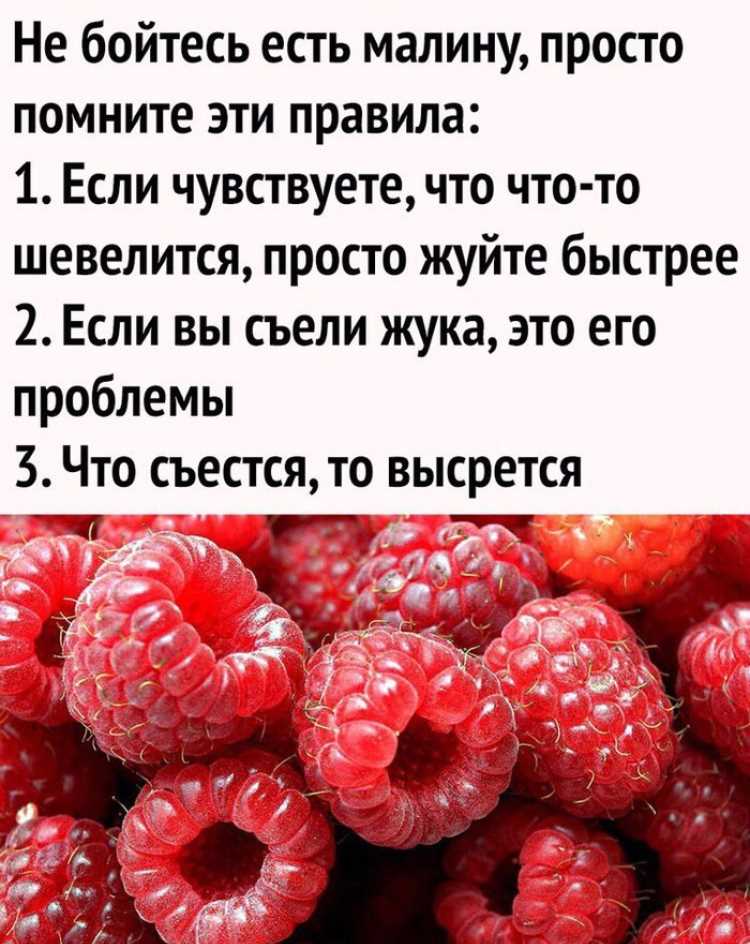 Что будет если съесть малину с червяком?