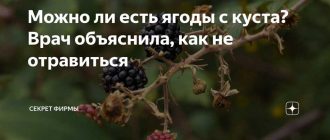 Что будет, если случайно съесть ягоду, обработанную ядовитыми веществами?