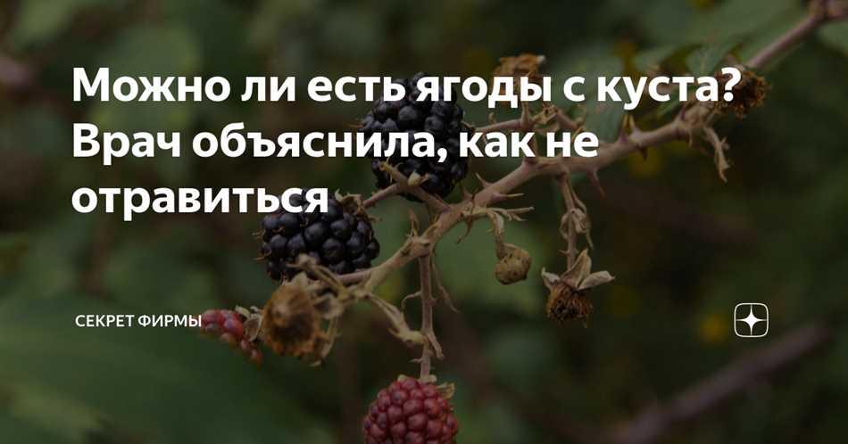 Что будет если случайно съесть напрысканную ягоду?