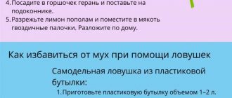 Что делать, если из-за соседей в квартиру залетают мухи?