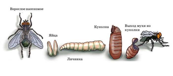 1. Не паникуй!