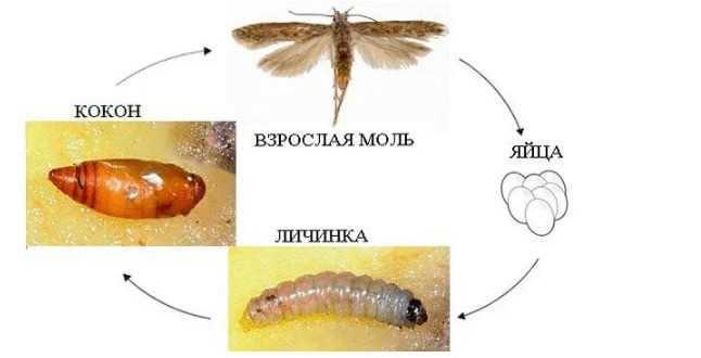 4. Постоянное обслуживание