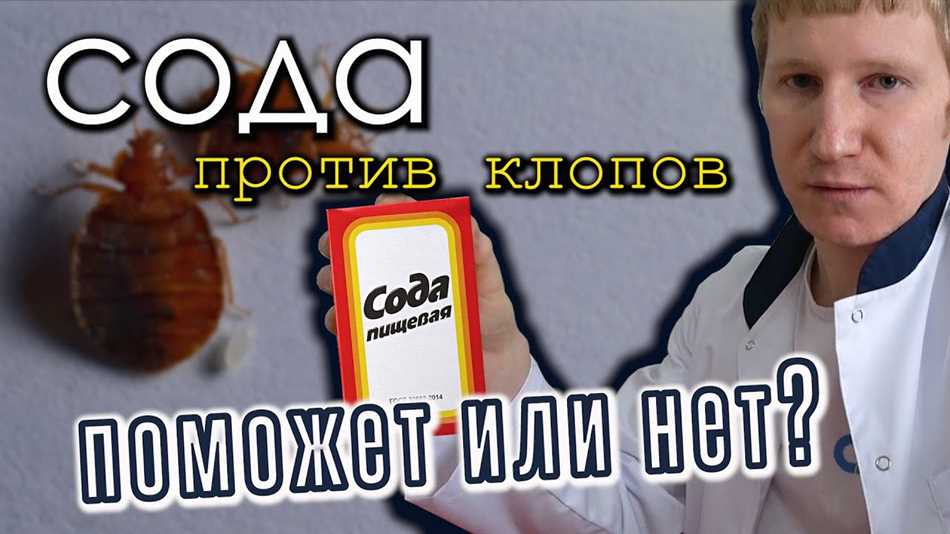 Что не любят постельные клопы?