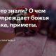 Что означает, если божья коровка села на одежду?