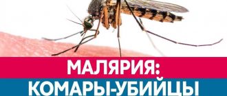 Что случается с теми кого укусил малярийный комар?