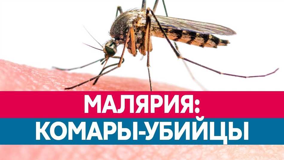 Что случается с теми кого укусил малярийный комар?