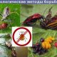 Что такое биологическая борьба с вредителями?