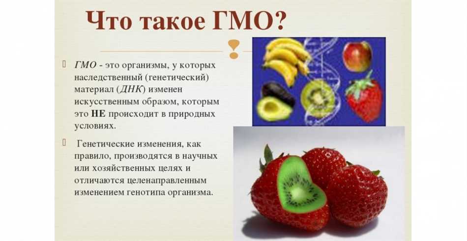  Что такое генетически модифицированные организмы (ГМО)? 