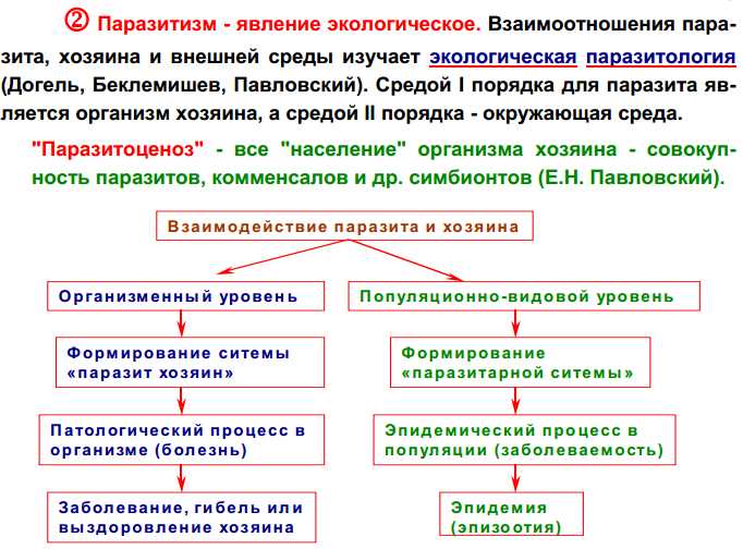 Одноклеточные паразиты