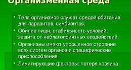 Среда обитания паразитов: что привлекает гостей в организме?