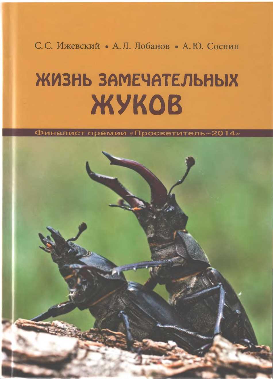 Что за жук если перевернув на спину он прыгает?