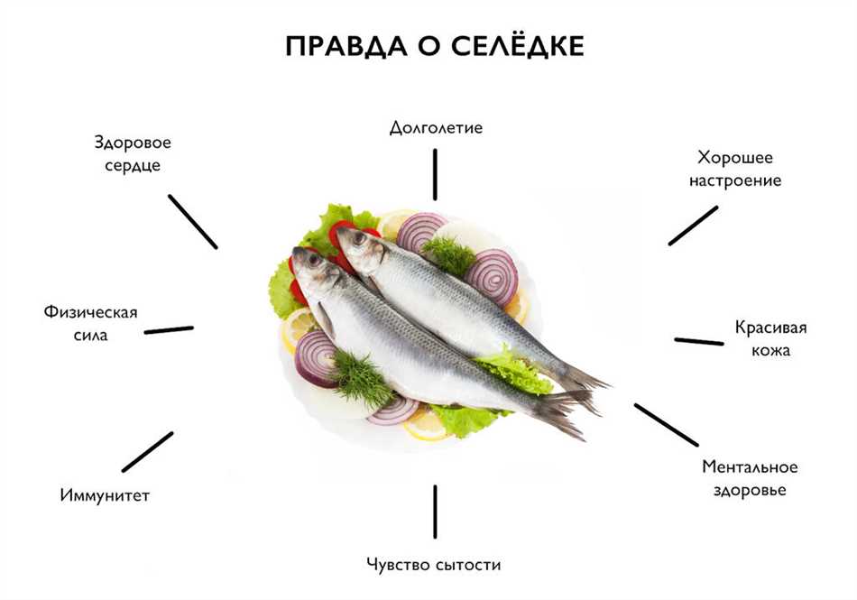 Есть ли польза в соленой сельди?