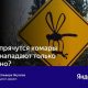 Где комары днем?