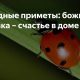 Божья коровка наручила женщину на руку: тайна и значение