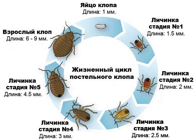 4. Используйте защиту