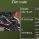 Как правильно есть дождевых червей: советы и рекомендации