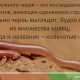 Классификация дождевого червя: основные виды и их характеристики