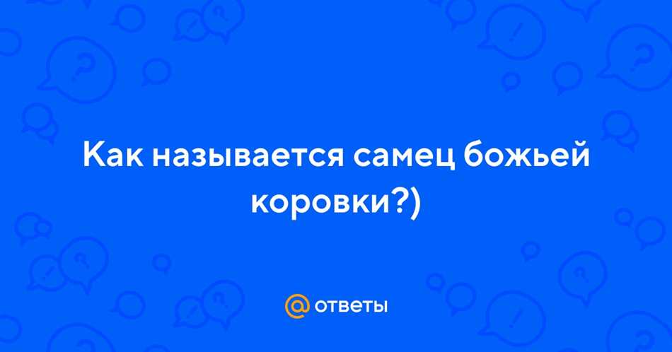 Как называется самец божьей коровки?