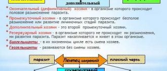 Заражение паразитами: как это называется и как его определить?