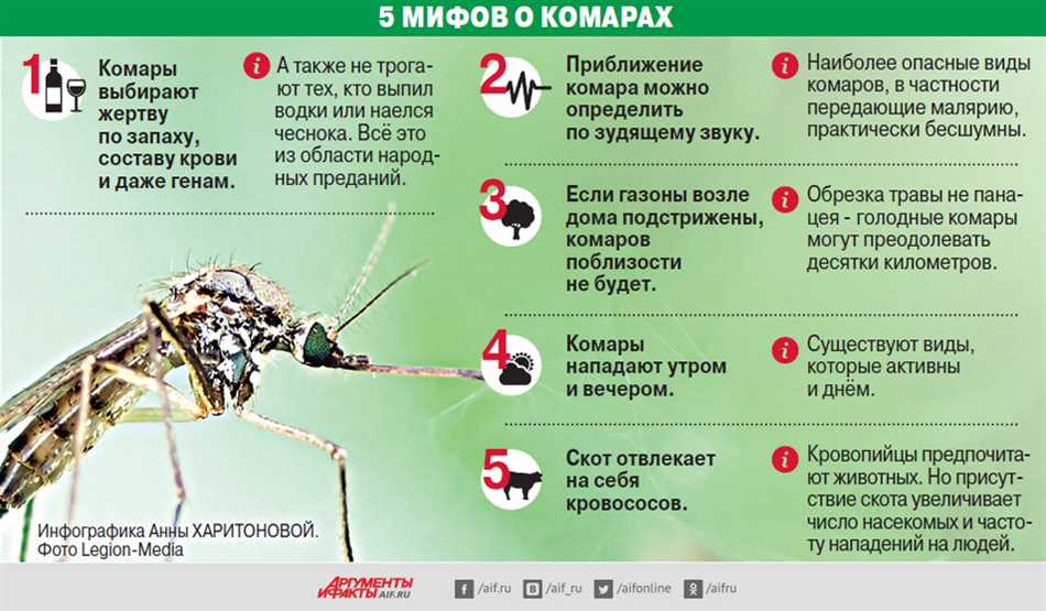 Лето – время загорать, гулять на природе и наслаждаться свежим воздухом. Однако, оно также приносит с собой неизбежную неприятность в виде комаров. Издевательские насекомые, которые могут испортить любой отдых. Но не стоит отчаиваться! Существует множество способов обезопасить себя от комаров и сохранить свою кожу в безупречном состоянии.