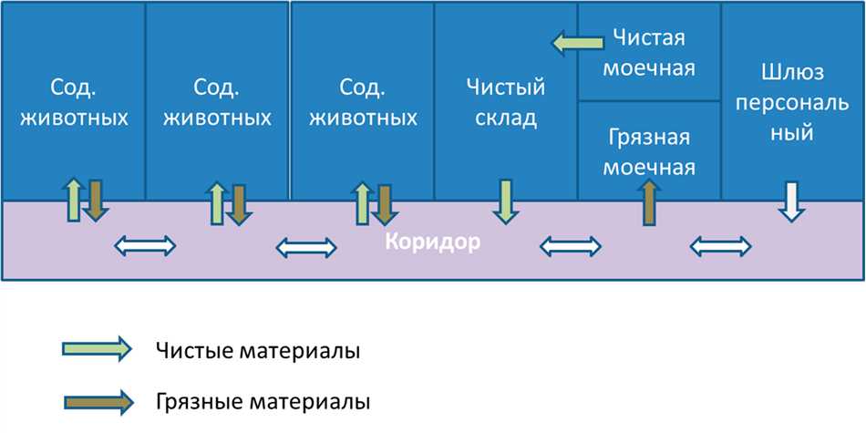 Подстилка и устроение террариума