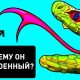 Как устроен язык змеи?