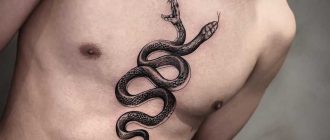 Как змеи нашли отражение в татуировках и body-art?