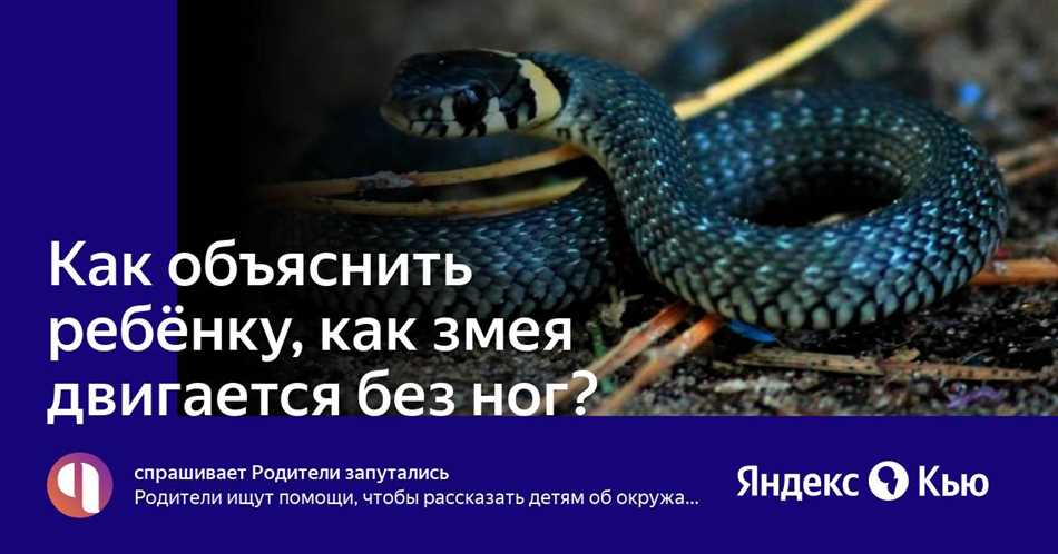 Как змеи передвигаются, не имея ног?