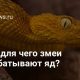 Какие функции выполняет змеиный яд?