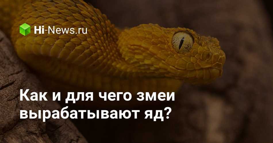 Какие функции выполняет змеиный яд?