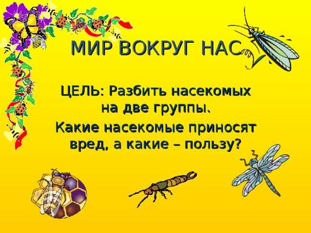 Мухи