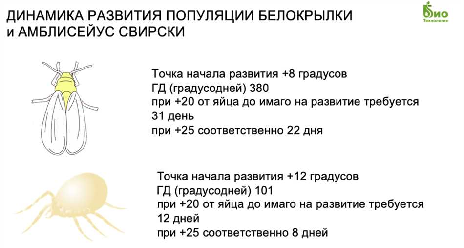 Разработка плана действий перед использованием химических средств