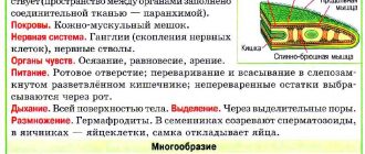 Общие характеристики плоских червей: разнообразие и особенности