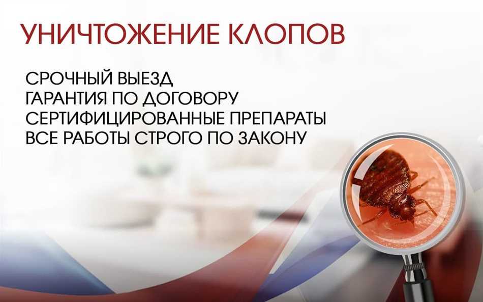 5. Поиск помощи