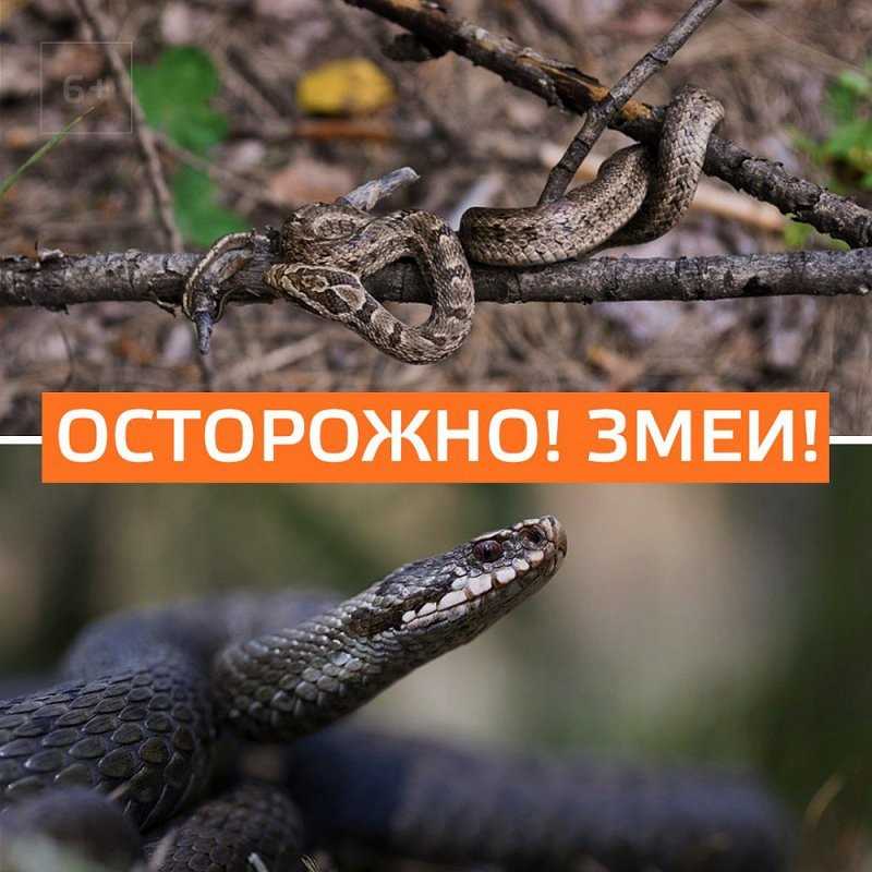 Выбор безопасного места