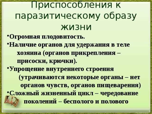 Сосальщики: кто они?