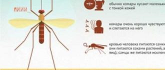 Каким образом комары могут нарушить сон человека?