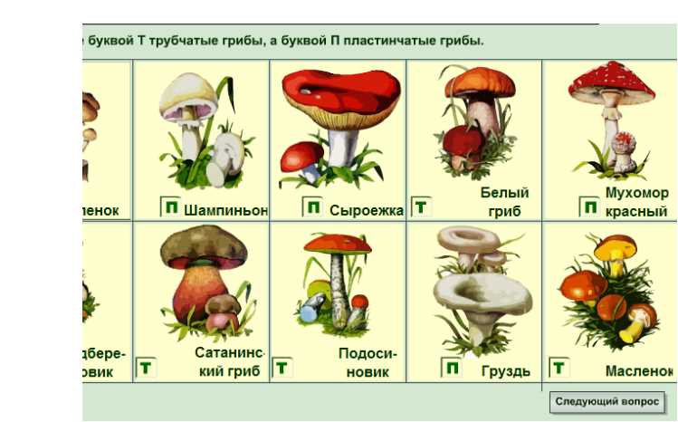 Раздел 2: Примеры паразитических грибов