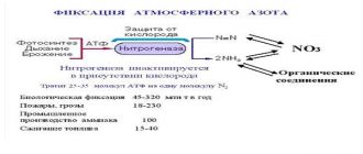 Какова роль микроорганизмов в контроле вредителей?