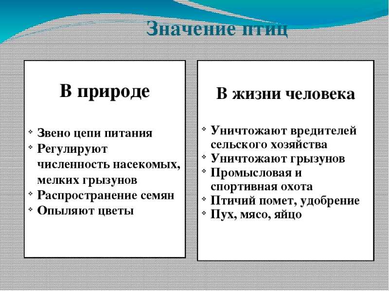 Роль птиц в контроле популяции вредителей