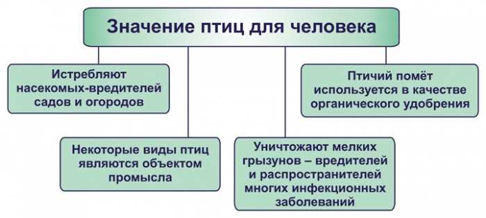 Какова роль птиц в контроле популяции вредителей?