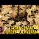 Каковы естественные способы борьбы с муравьями?