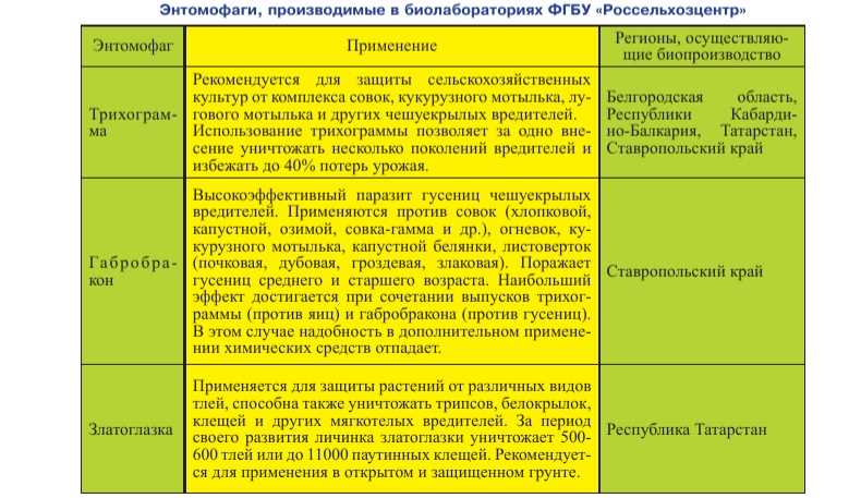 Каковы методы биологической борьбы с вредителями?