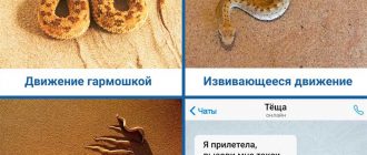 Каковы методы дрессировки змей?