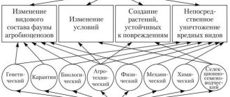 Каковы методы механической борьбы с вредителями?