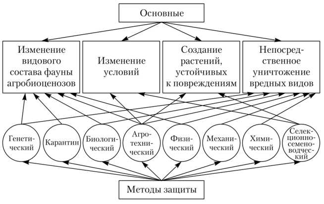 Каковы методы механической борьбы с вредителями?